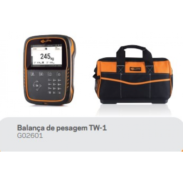 G02601 INDICADOR ELETRONICO TW-1