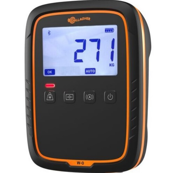 G02500 INDICADOR ELETRONICO W-0