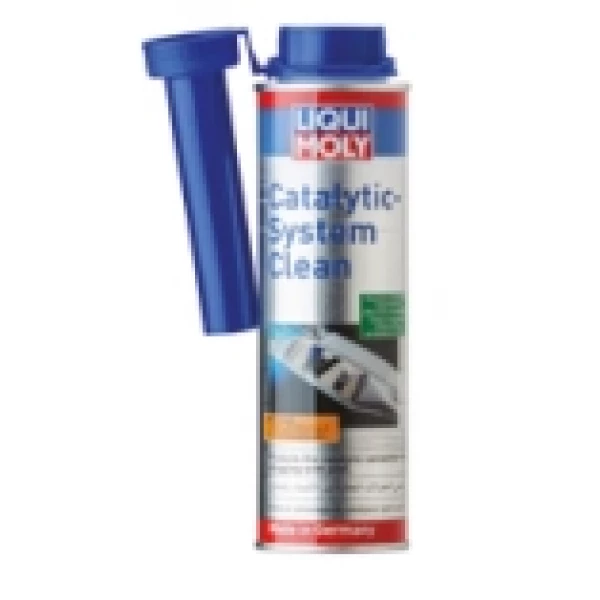 CATALYTIC-SYSTEM CLEAN