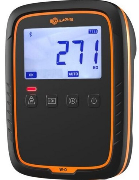 G02500 INDICADOR ELETRONICO W-0