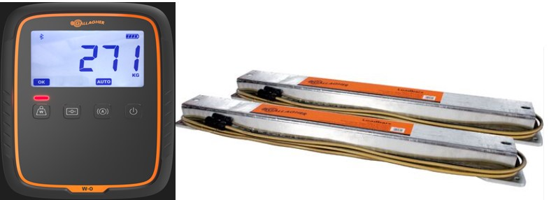 100282 SISTEMA COMPLETO W-0 + CONJ BARRA 3000KG / 800MM (W0) 